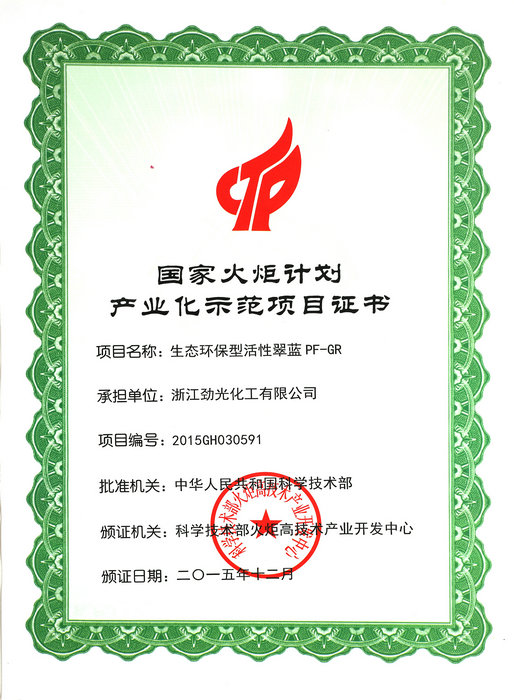 National Torch Plan Industrialization Demonstration Certificate